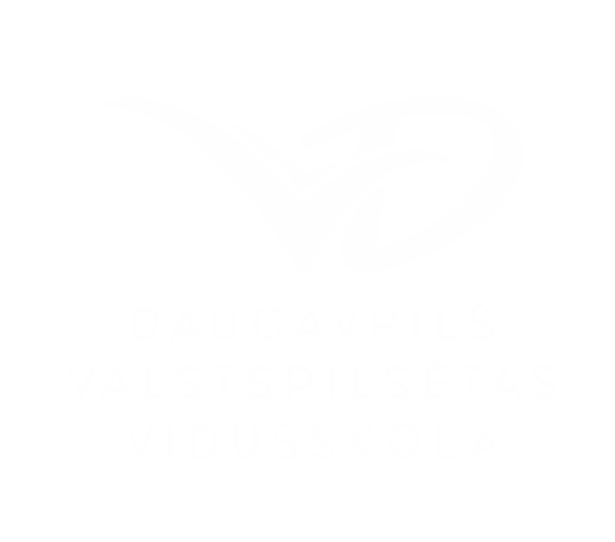 DVVSK logo