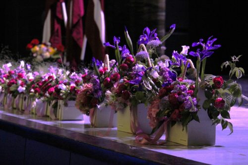 IMG 7378.JPG (1)