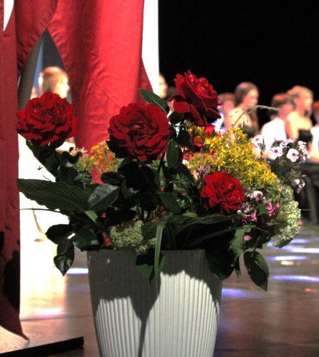 IMG 7937.JPG