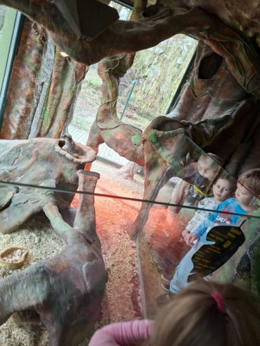 05923d14-6b46-48a6-98e4-c72dbdb26a21