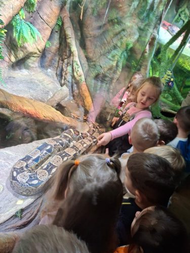 d5035a08-41a2-4f65-9282-8bf5e36ba20d