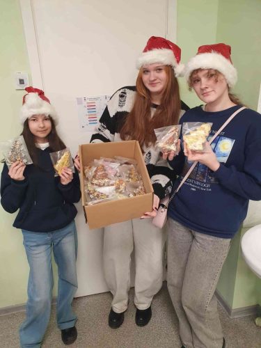 Skolenu dome 1 sem-10